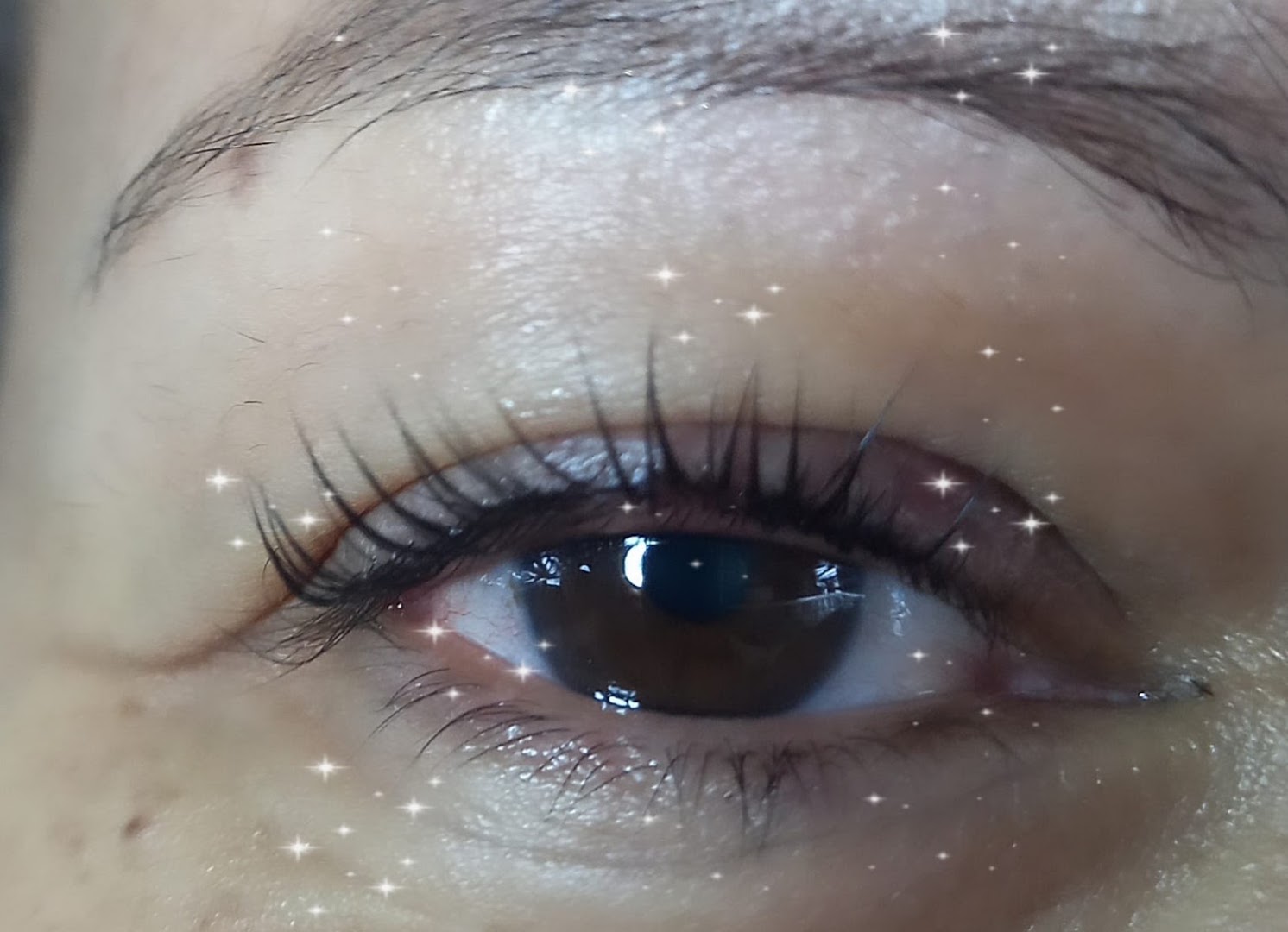 Steph et l'effet papillon · Photos 1
